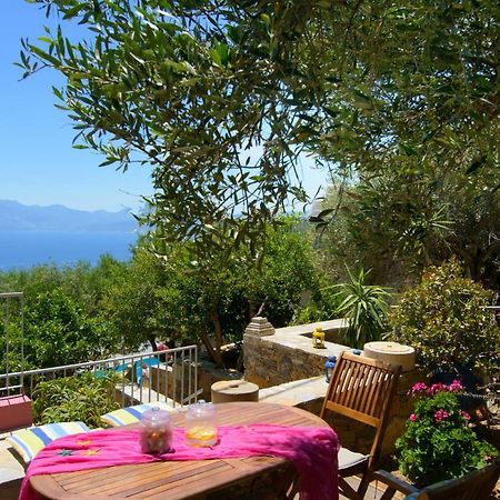 Villa Olga Ágios Nikolaos Exterior foto